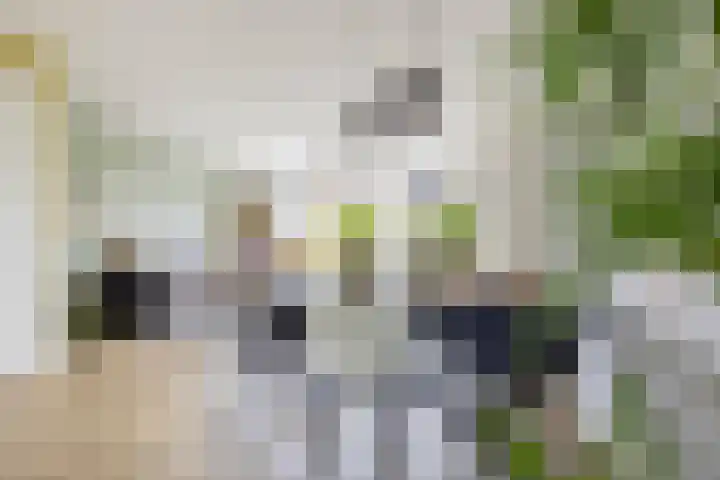 Karamelweg 10 Utrecht thumbnail 11