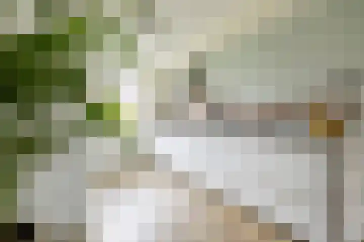 Karamelweg 10 Utrecht thumbnail 15