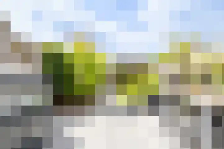 Karamelweg 10 Utrecht thumbnail 31