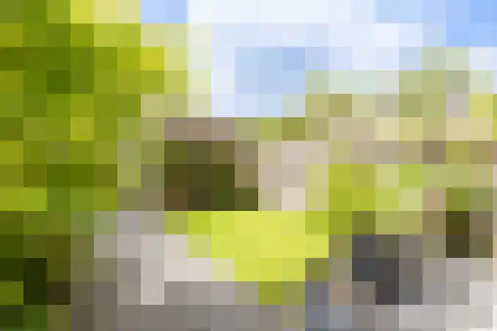 Karamelweg 10 Utrecht thumbnail 32