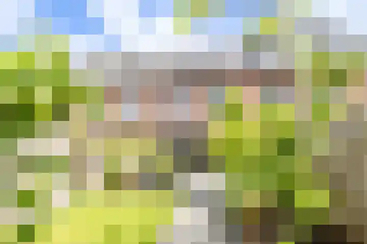 Karamelweg 10 Utrecht thumbnail 33