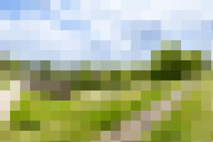 Karamelweg 10 Utrecht thumbnail 36