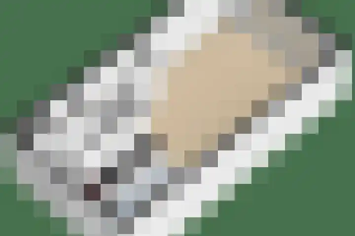 Karamelweg 10 Utrecht thumbnail 41