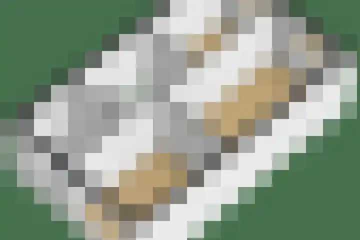 Karamelweg 10 Utrecht thumbnail 43