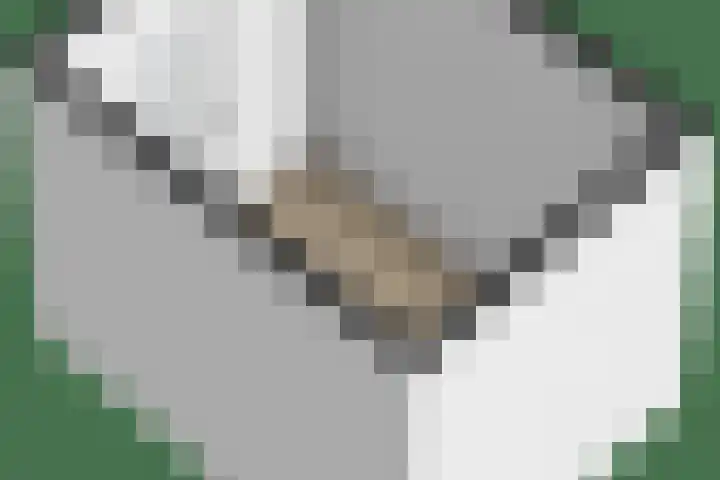 Karamelweg 10 Utrecht thumbnail 47