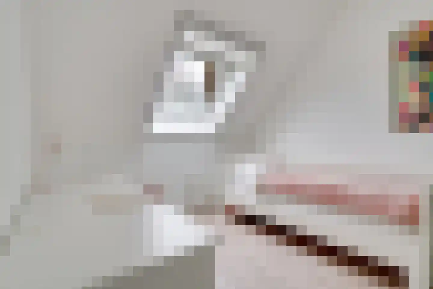 Karamelweg 22 Utrecht thumbnail 33