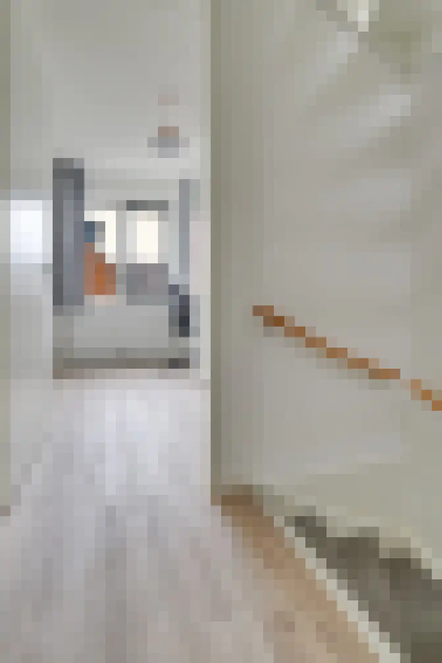 Karamelweg 22 Utrecht thumbnail 43