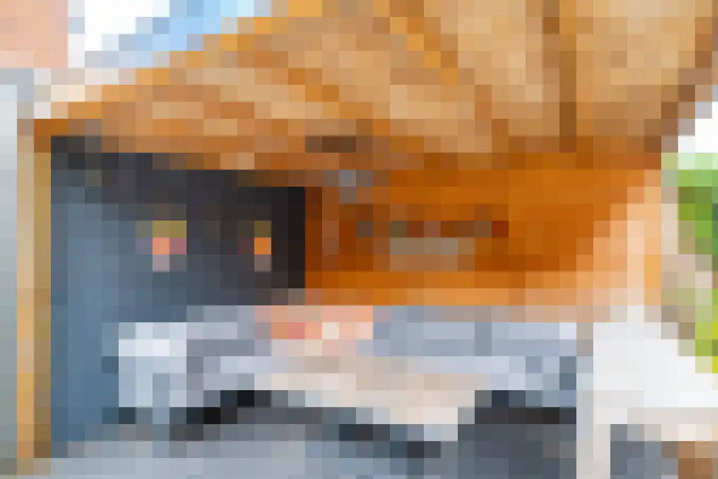 Karamelweg 22 Utrecht thumbnail 47