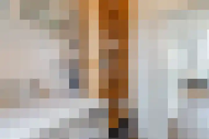 Karamelweg 35 Utrecht thumbnail 42