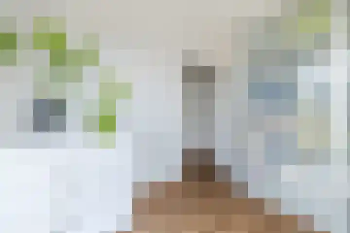 Karamelweg 35 Utrecht thumbnail 45