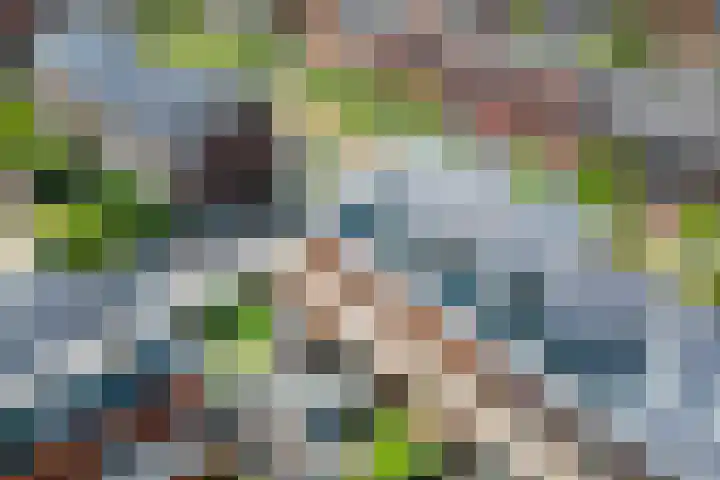 Karamelweg 35 Utrecht thumbnail 56