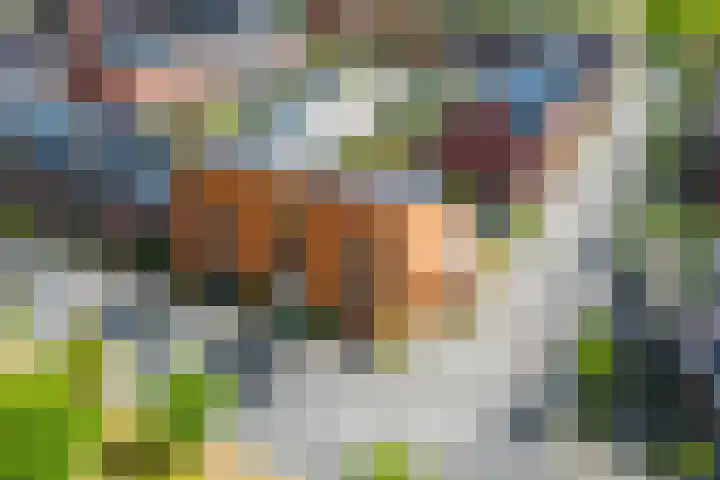 Karamelweg 35 Utrecht thumbnail 70