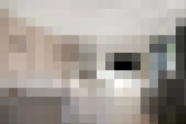 Karavaanstraat 47 Purmerend thumbnail 13