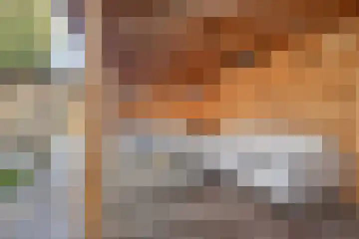 Karavaanstraat 47 Purmerend thumbnail 36