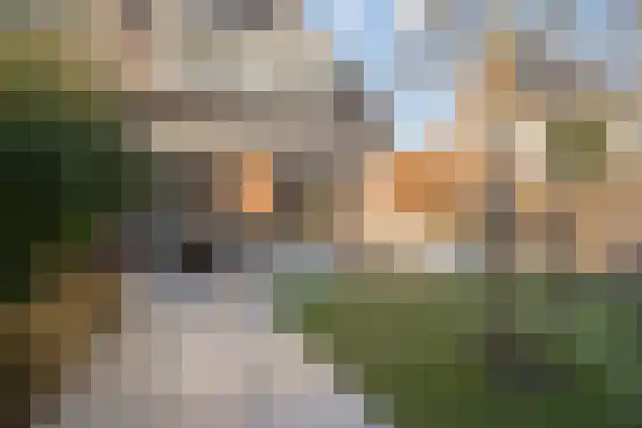 Karavaanstraat 47 Purmerend thumbnail 38