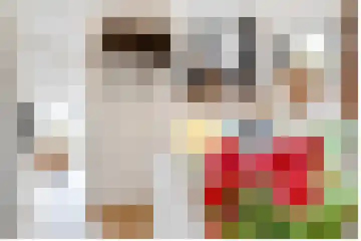 Karawanken 22 Utrecht thumbnail 10