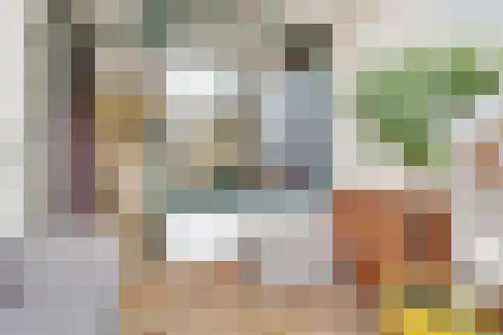 Karawanken 22 Utrecht thumbnail 11
