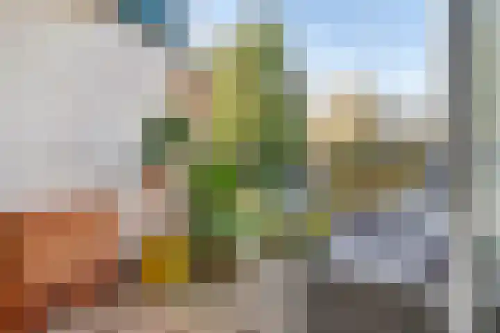 Karawanken 22 Utrecht thumbnail 12