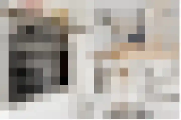 Karawanken 22 Utrecht thumbnail 17