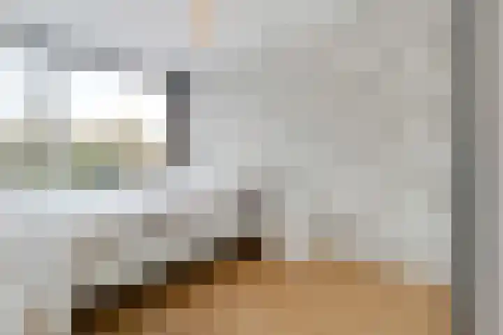 Karawanken 22 Utrecht thumbnail 19