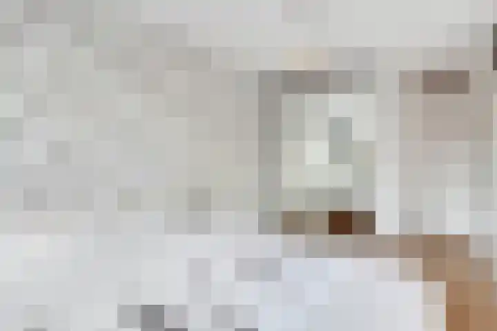 Karawanken 22 Utrecht thumbnail 20