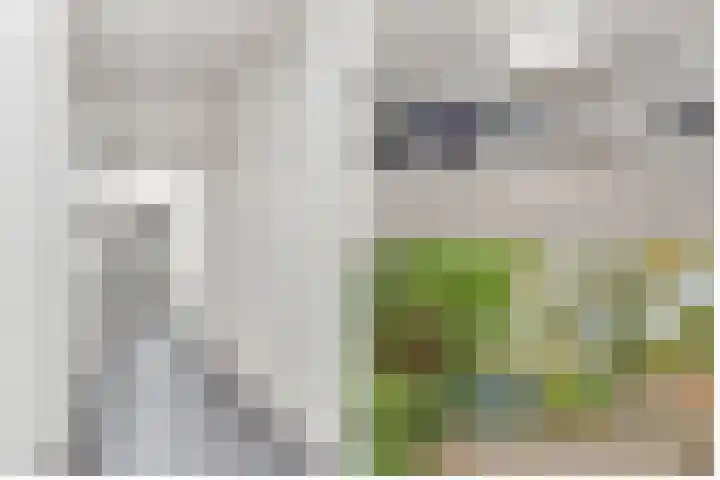 Karawanken 22 Utrecht thumbnail 25