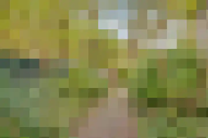 Karawanken 22 Utrecht thumbnail 31