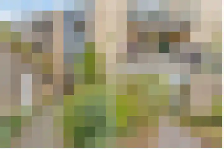Karawanken 22 Utrecht thumbnail 32