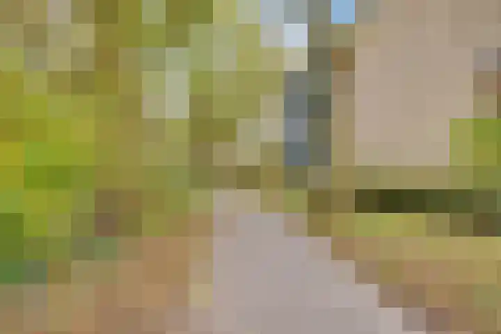 Karawanken 22 Utrecht thumbnail 33