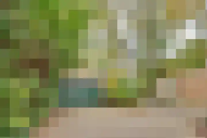 Karawanken 22 Utrecht thumbnail 35