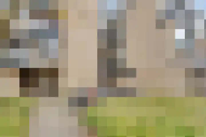 Karawanken 22 Utrecht thumbnail 37