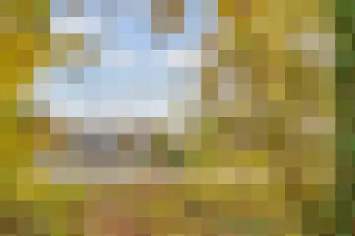Karawanken 22 Utrecht thumbnail 39