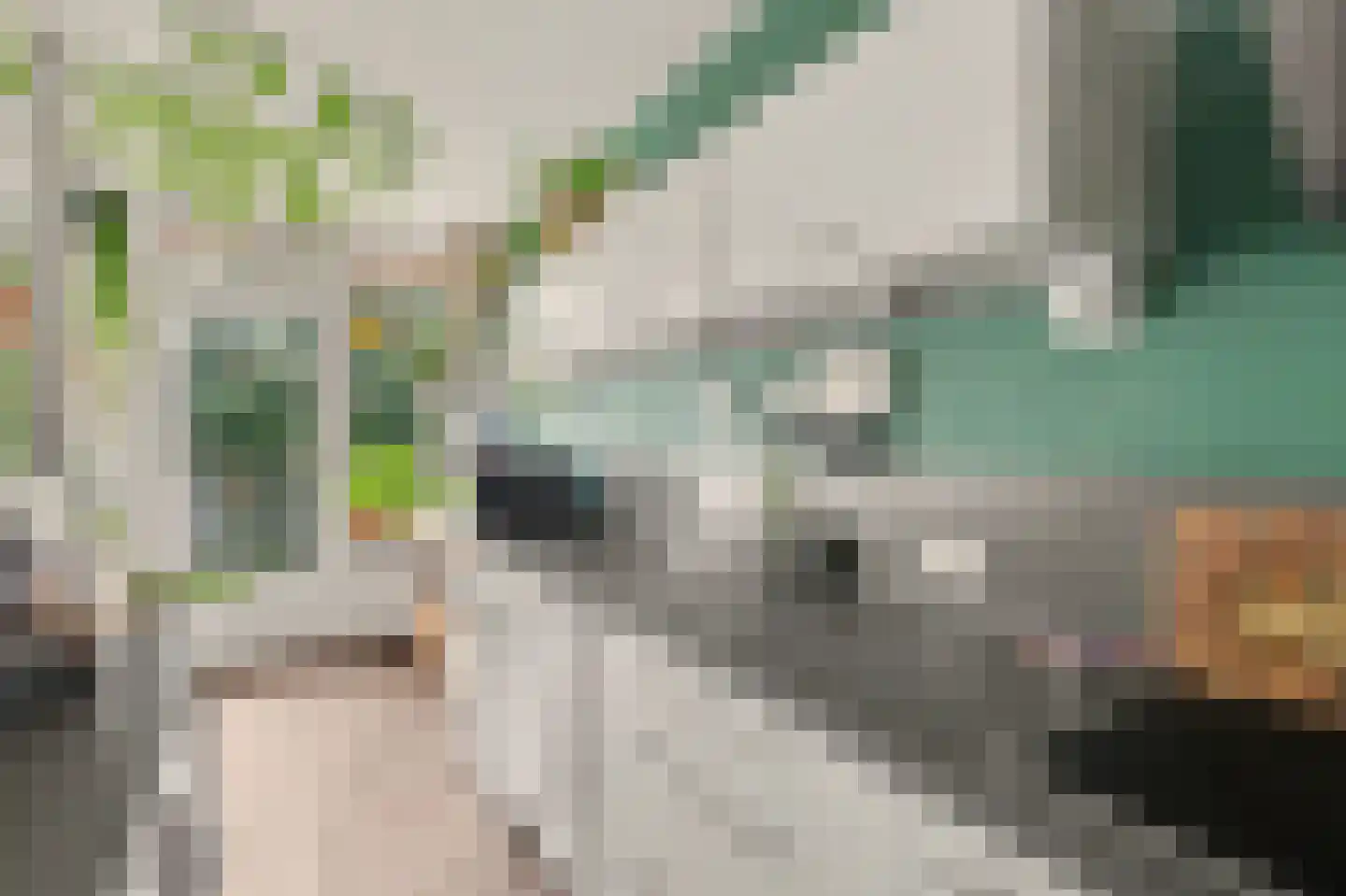 Karawanken 38 Utrecht thumbnail 19