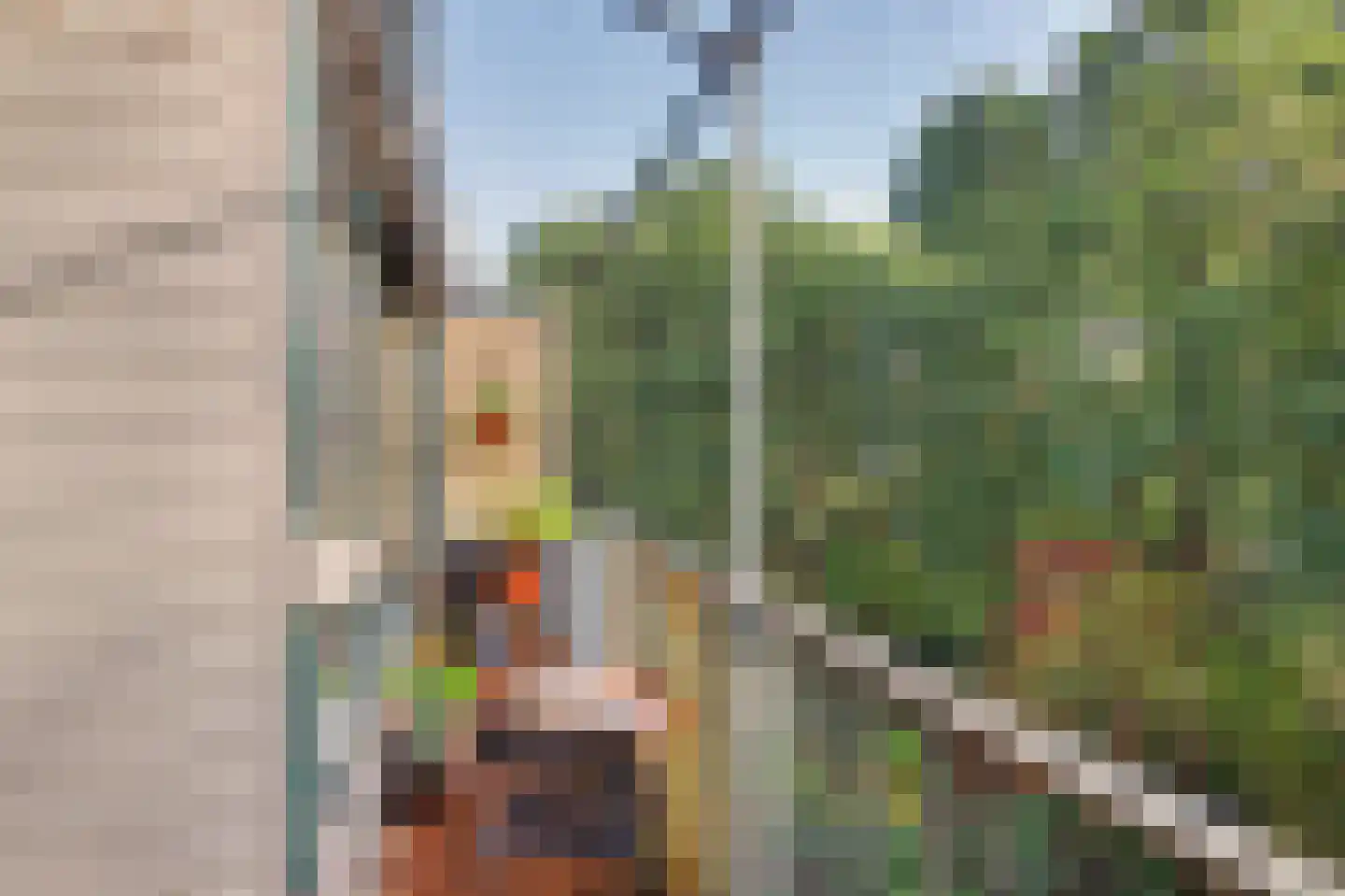 Karawanken 38 Utrecht thumbnail 26