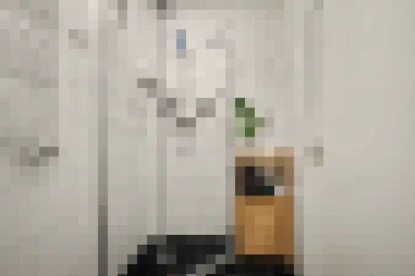 Karawanken 38 Utrecht thumbnail 29