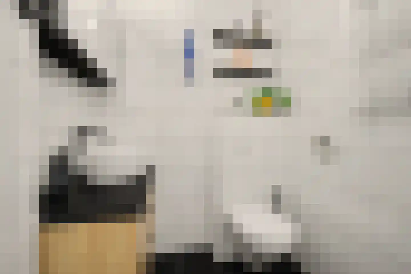 Karawanken 38 Utrecht thumbnail 30