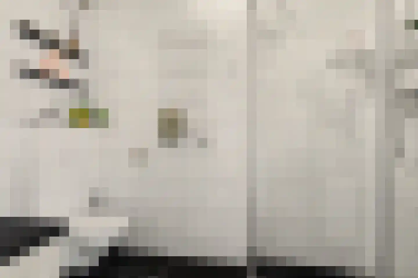 Karawanken 38 Utrecht thumbnail 31