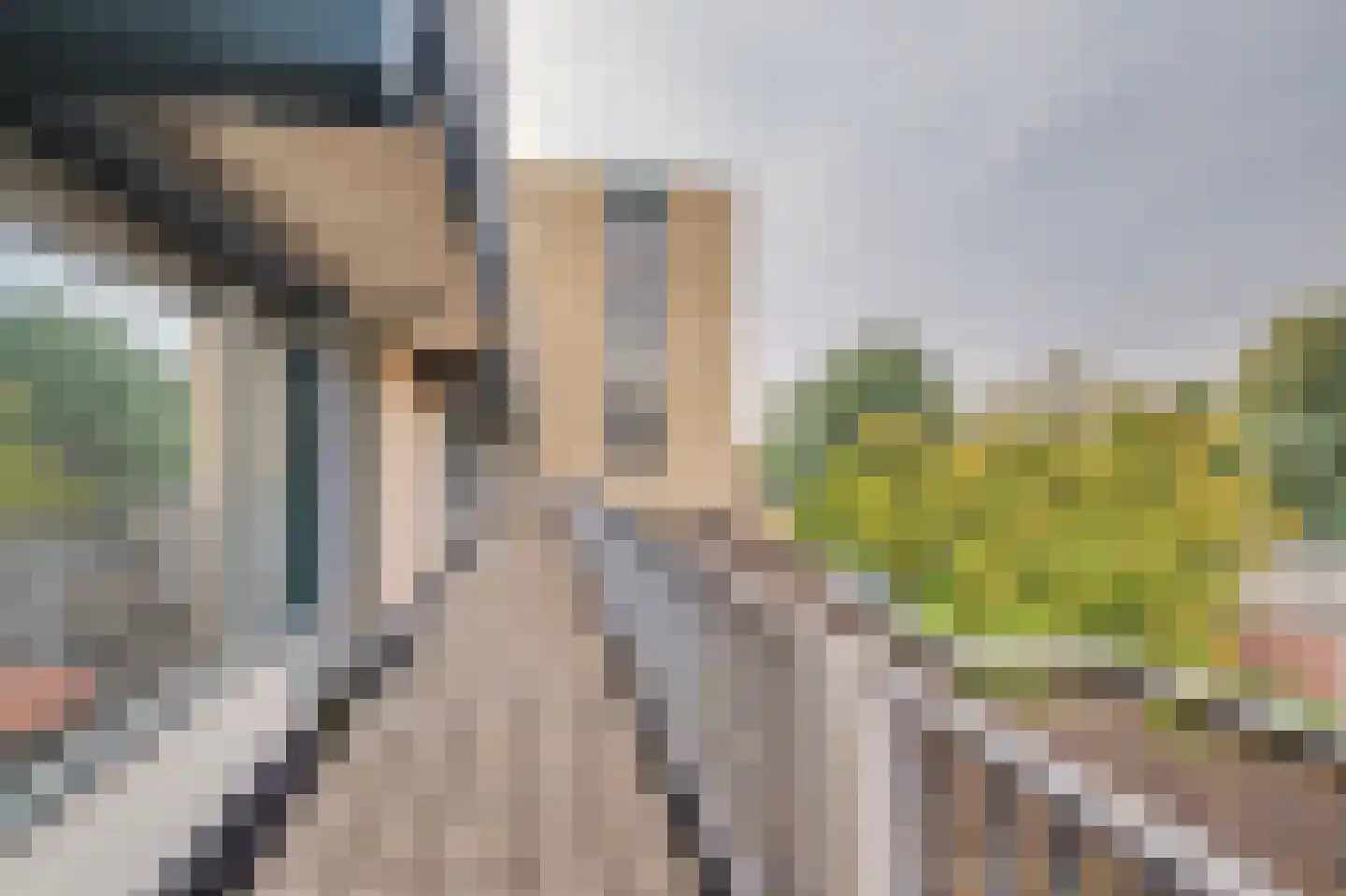Karawanken 38 Utrecht thumbnail 8