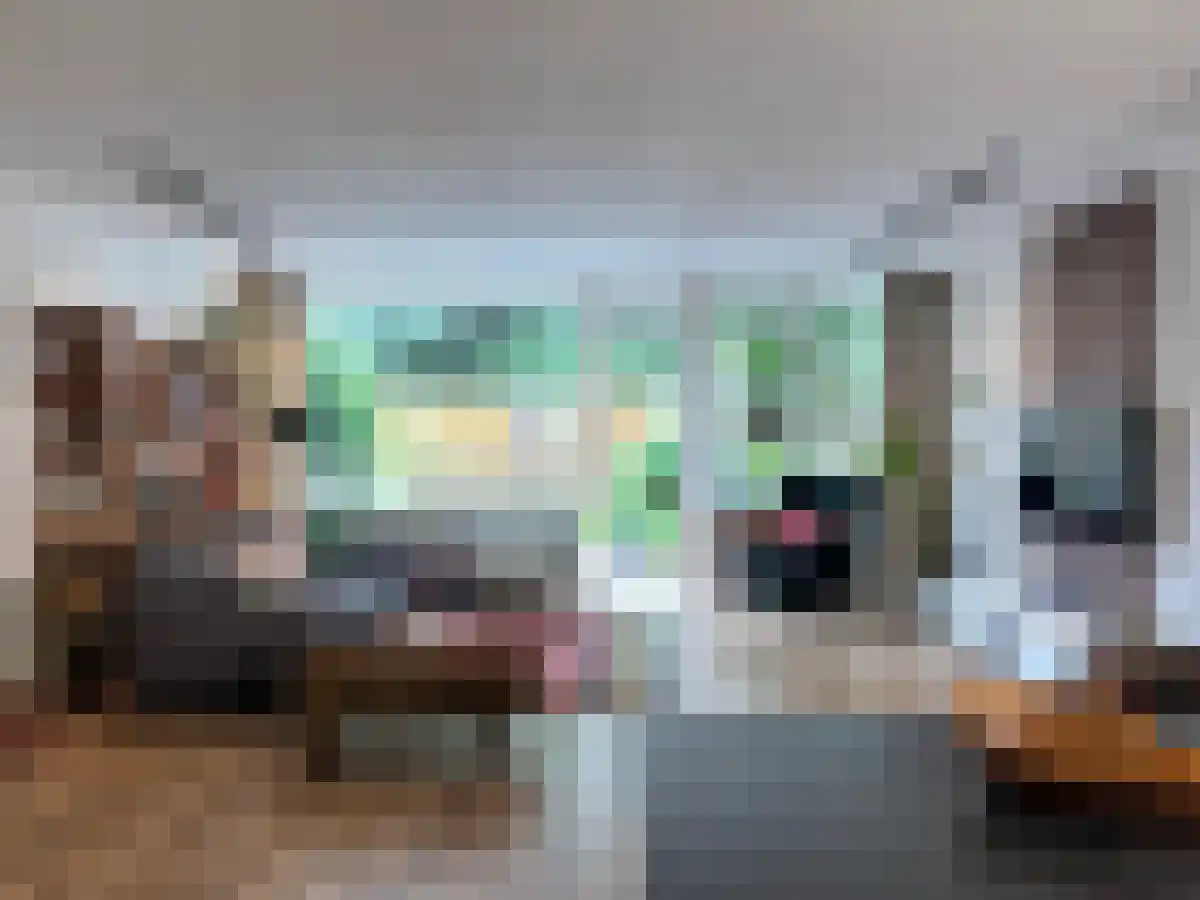 Karawanken 68 Utrecht thumbnail 4