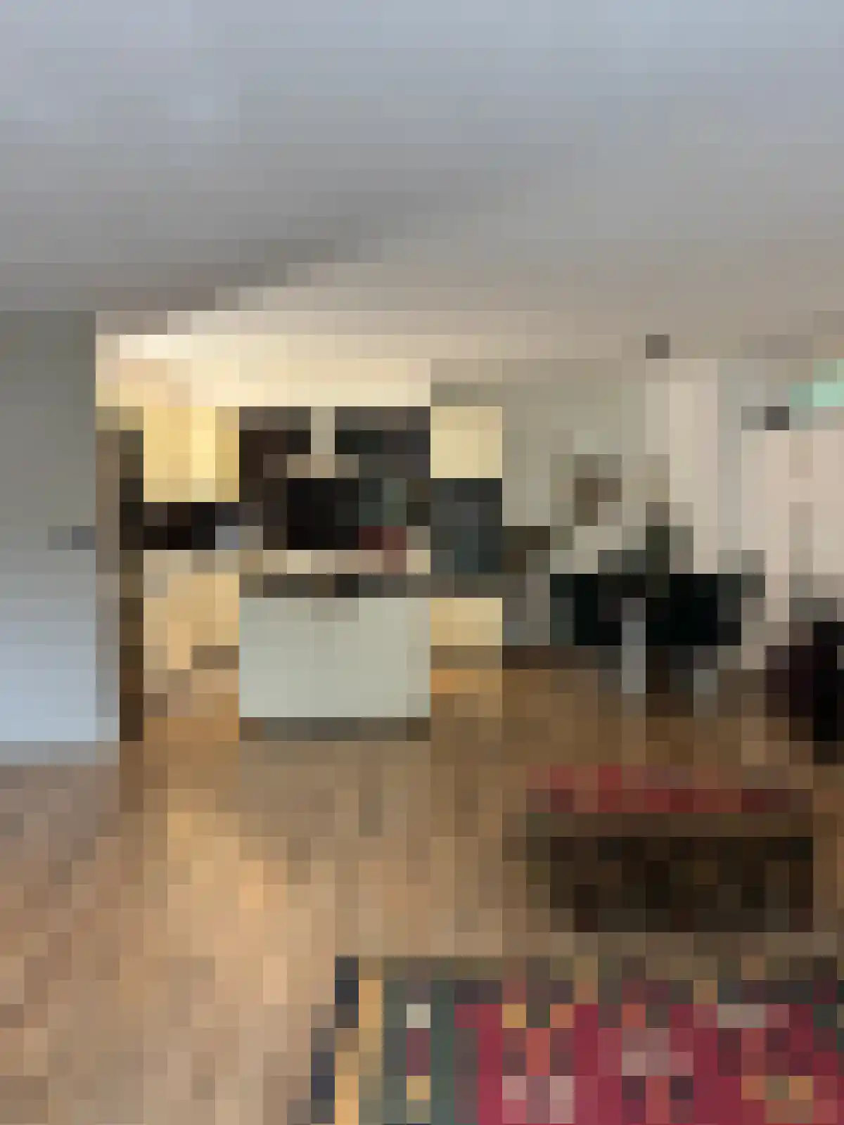 Karawanken 68 Utrecht thumbnail 5