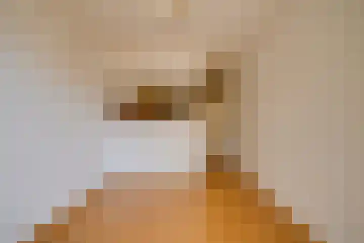 Karawanken 74 Utrecht thumbnail 10