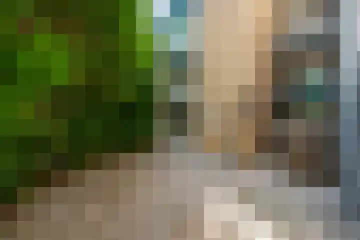 Karawanken 74 Utrecht thumbnail 20