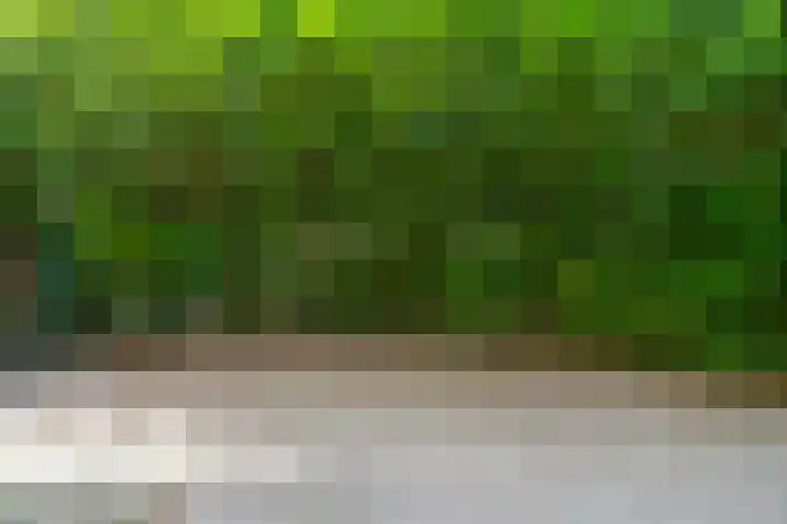 Karawanken 74 Utrecht thumbnail 21