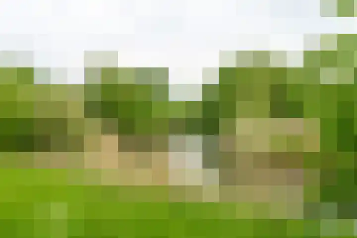 Karawanken 74 Utrecht thumbnail 26
