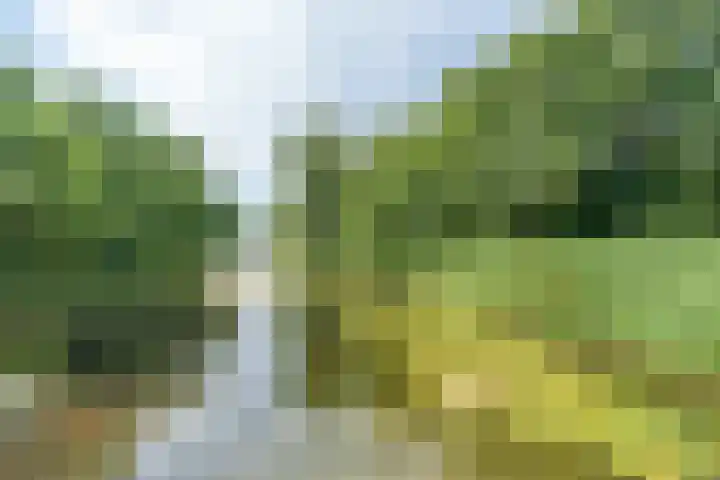 Karawanken 74 Utrecht thumbnail 28