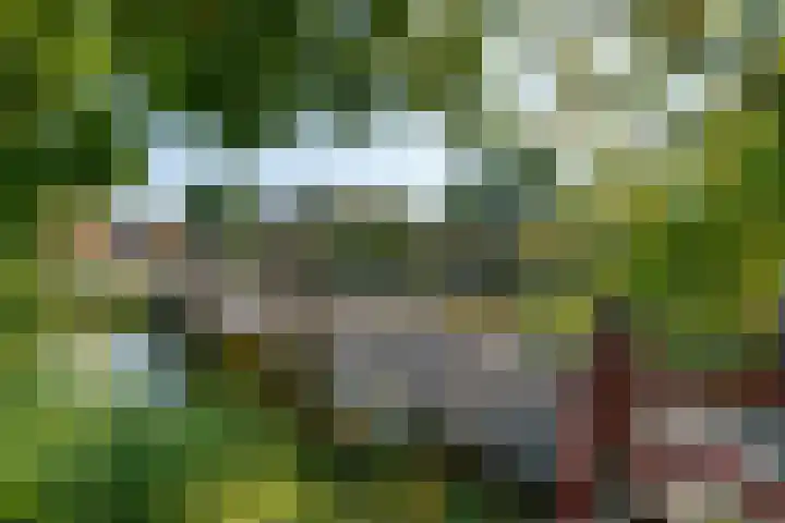 Karawanken 74 Utrecht thumbnail 30