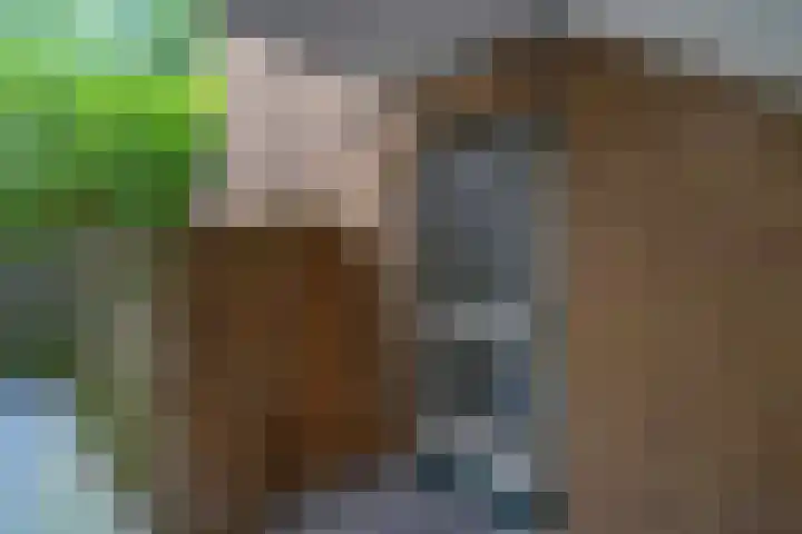 Karawanken 74 Utrecht thumbnail 4