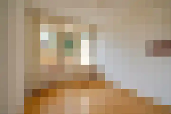 Karawanken 74 Utrecht thumbnail 9
