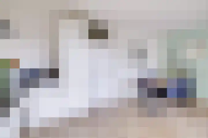 Karawanken 80 Utrecht thumbnail 21