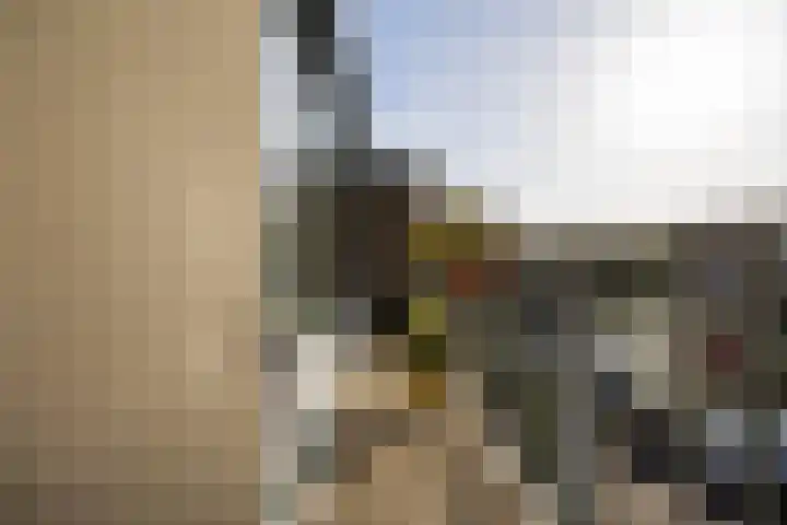 Karawanken 80 Utrecht thumbnail 23
